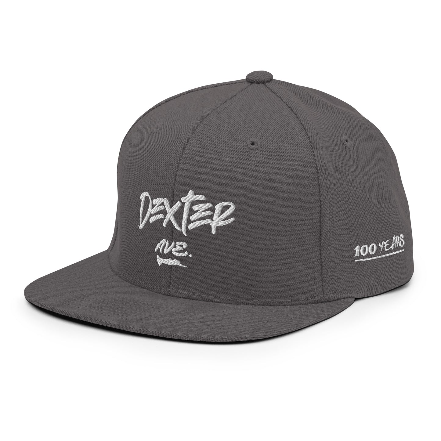 "DEXTER AVE." Embroidered Snapback Baseball Cap, By D-OFFICIAL BRANDS