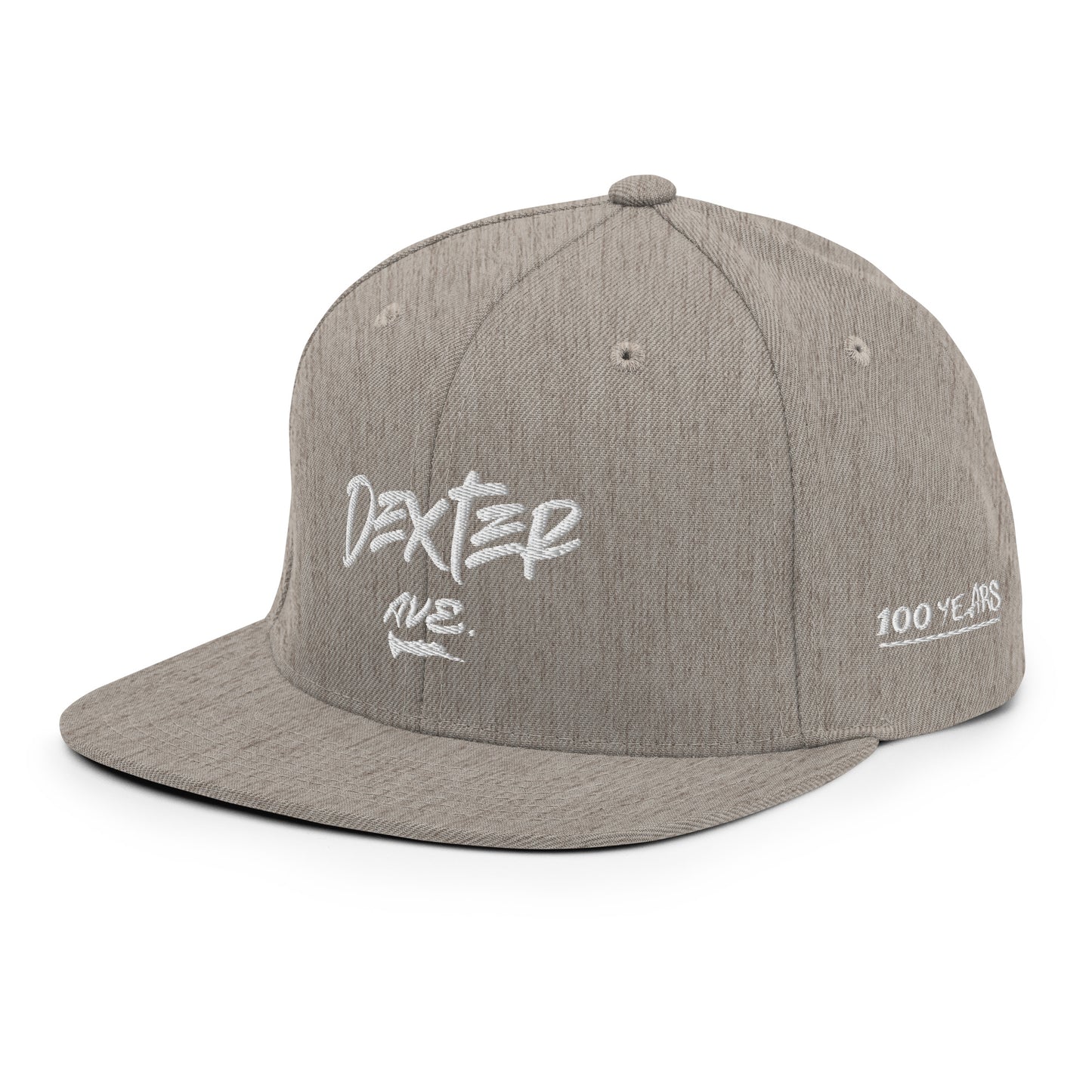 "DEXTER AVE." Embroidered Snapback Baseball Cap, By D-OFFICIAL BRANDS