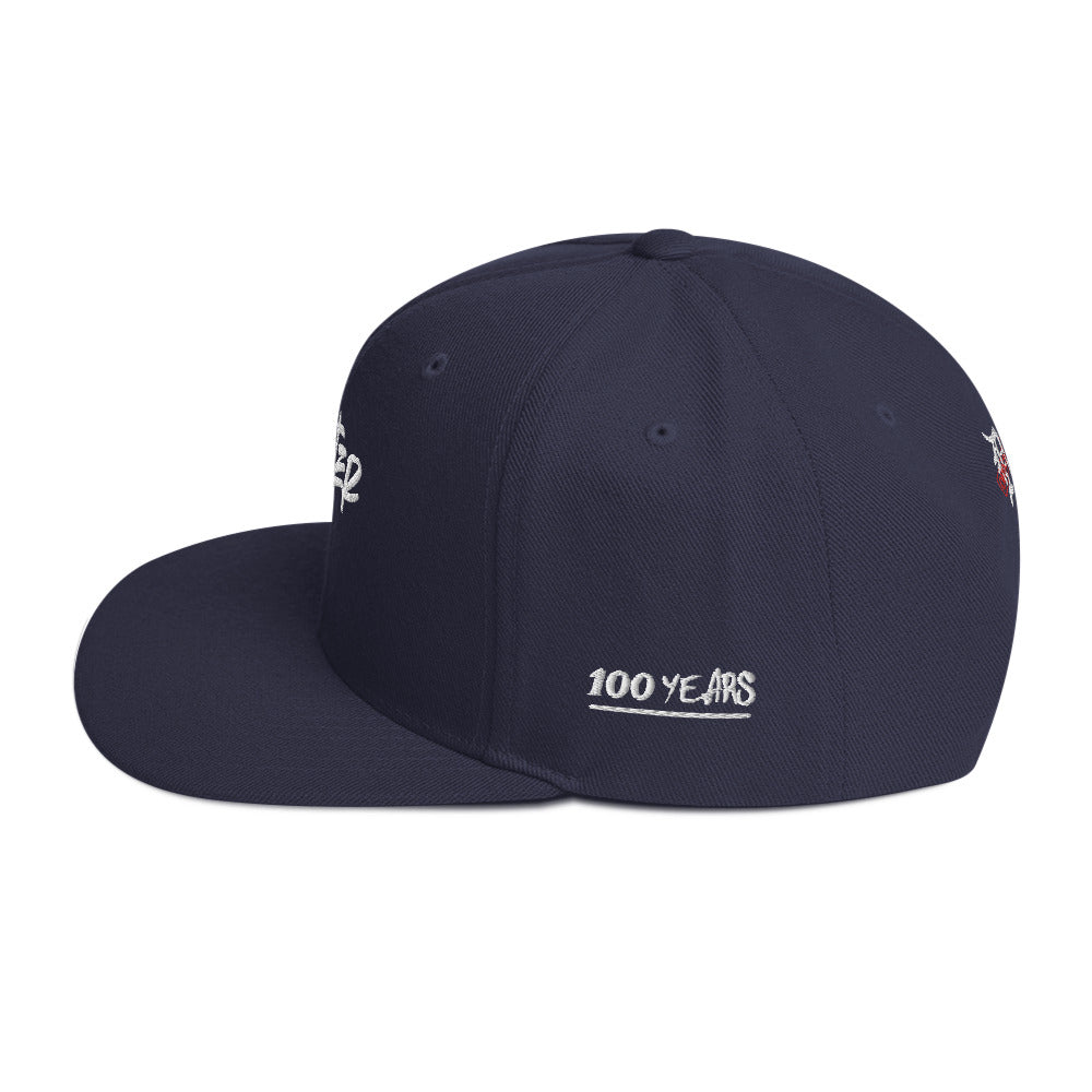 "DEXTER AVE." Embroidered Snapback Baseball Cap, By D-OFFICIAL BRANDS