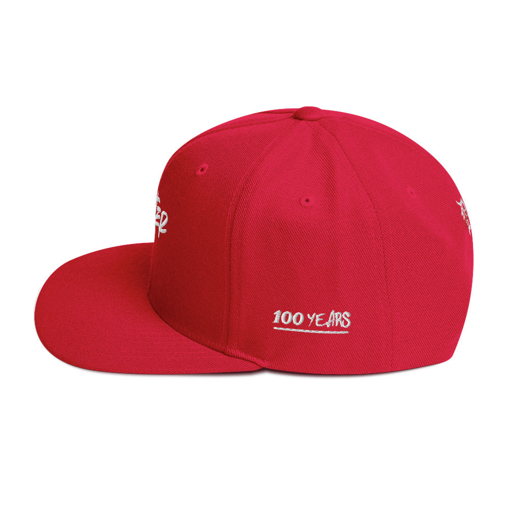 "DEXTER AVE." Embroidered Snapback Baseball Cap, By D-OFFICIAL BRANDS