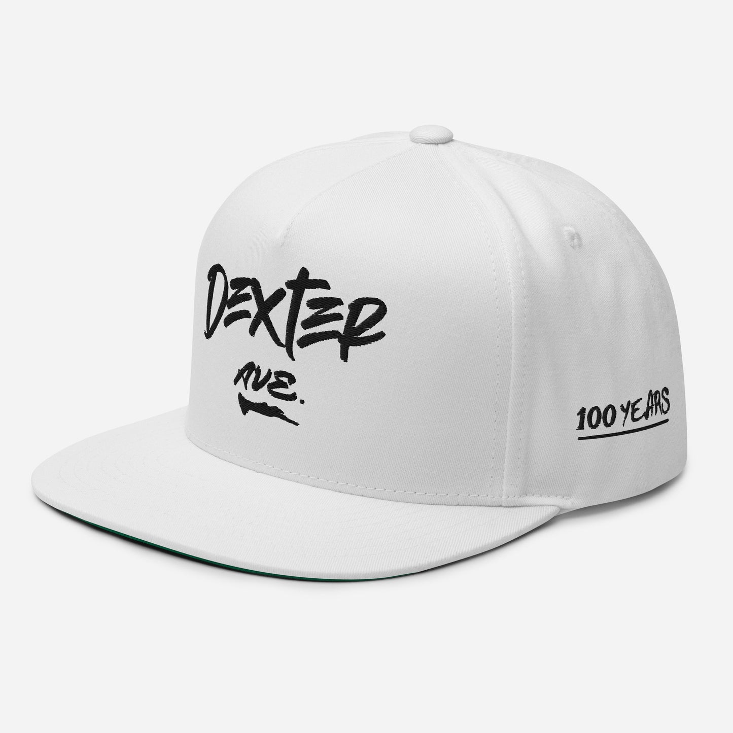 "DEXTER AVE." Embroidered Snap-Back Baseball Cap, D-OFFICIAL BRANDS