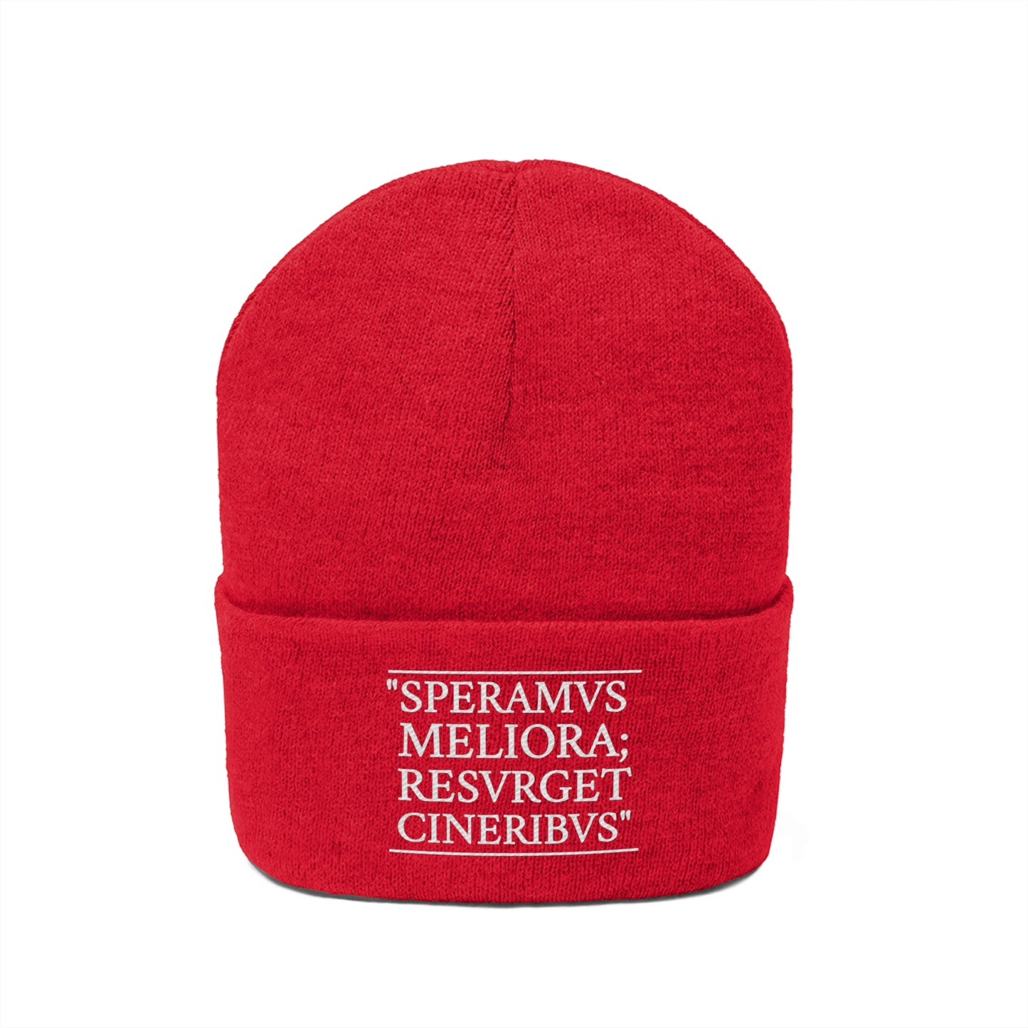 D-OFFICIAL BRANDS "SPEARMVS MELIORA; RESVRGET CINERIBUS" (Detroit City Motto) Knit Beanie/Skull Cap