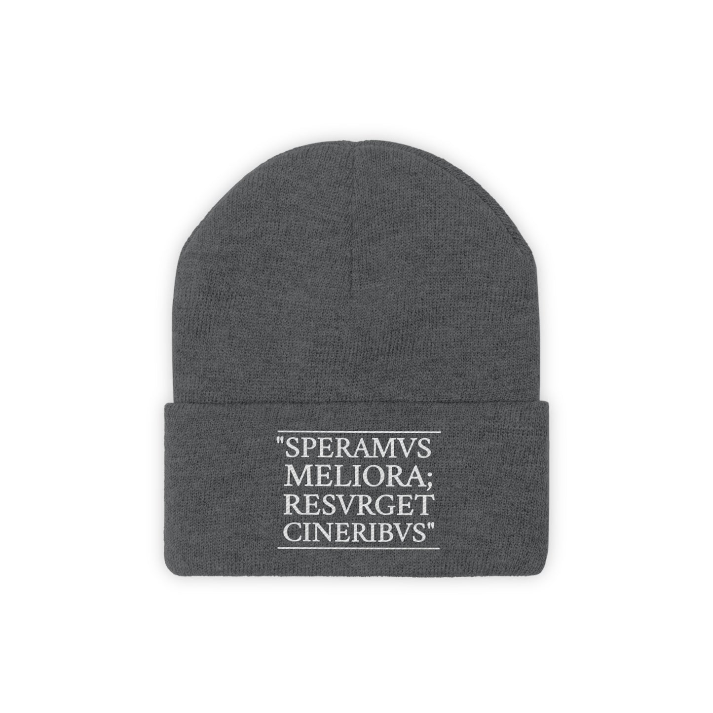 D-OFFICIAL BRANDS "SPEARMVS MELIORA; RESVRGET CINERIBUS" (Detroit City Motto) Knit Beanie/Skull Cap