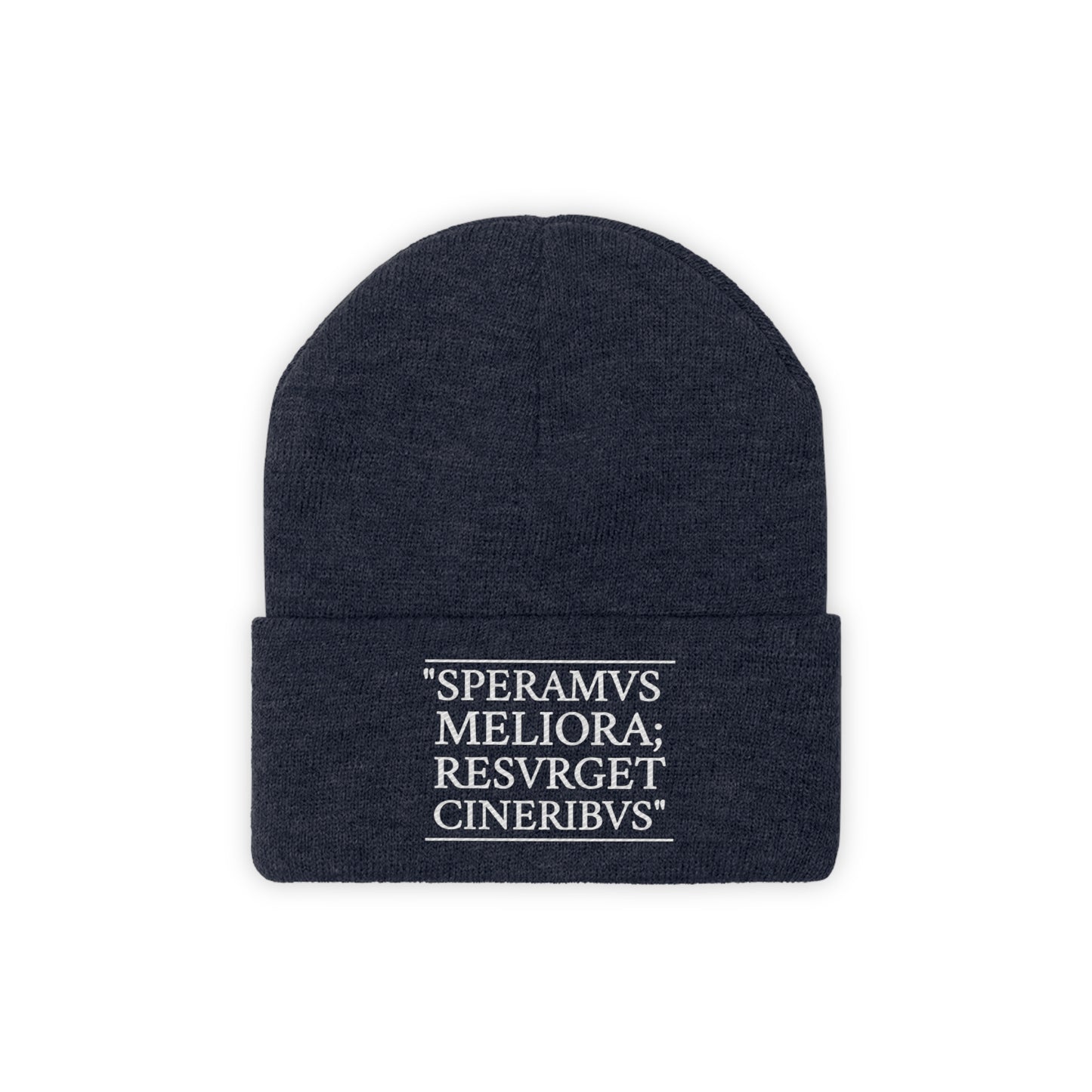 D-OFFICIAL BRANDS "SPEARMVS MELIORA; RESVRGET CINERIBUS" (Detroit City Motto) Knit Beanie/Skull Cap