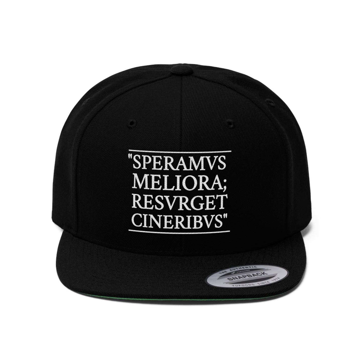 D-OFFICIAL BRANDS "SPEARMVS MELIORA; RESVRGET CINERIBVS" (Detroit City Motto) Snapback Baseball Cap