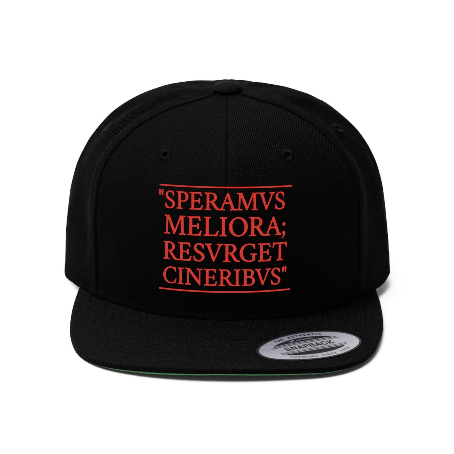 D-OFFICIAL BRANDS "SPEARMVS MERLIORA; RESVRGET CINERIBVS" (Detroit City Motto) Snapback Baseball Cap