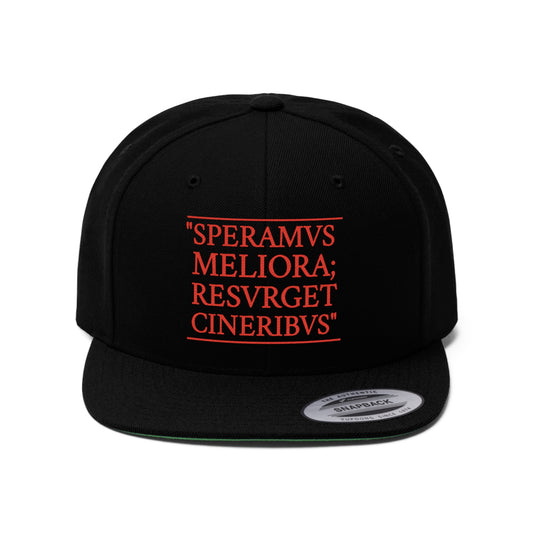 D-OFFICIAL BRANDS "SPEARMVS MERLIORA; RESVRGET CINERIBVS" (Detroit City Motto) Snapback Baseball Cap