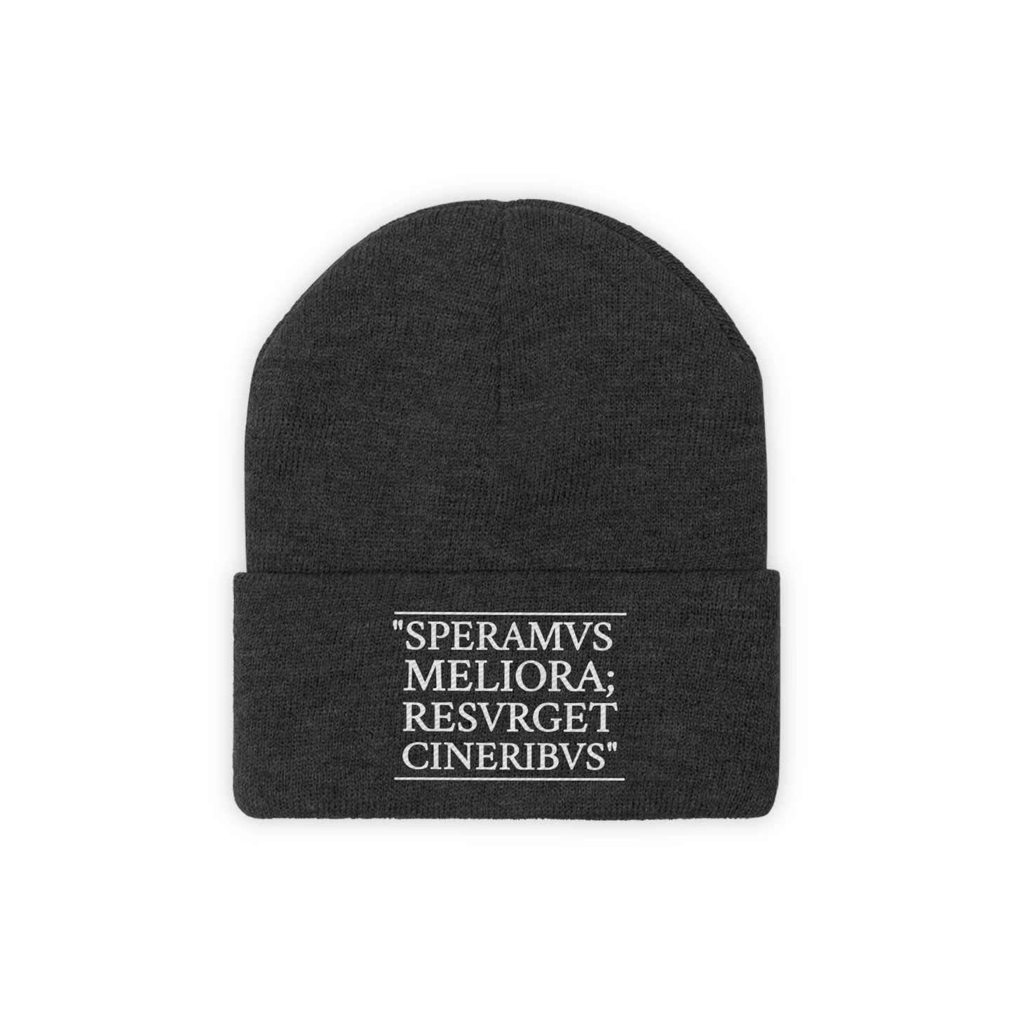 D-OFFICIAL BRANDS "SPEARMVS MELIORA; RESVRGET CINERIBUS" (Detroit City Motto) Knit Beanie/Skull Cap