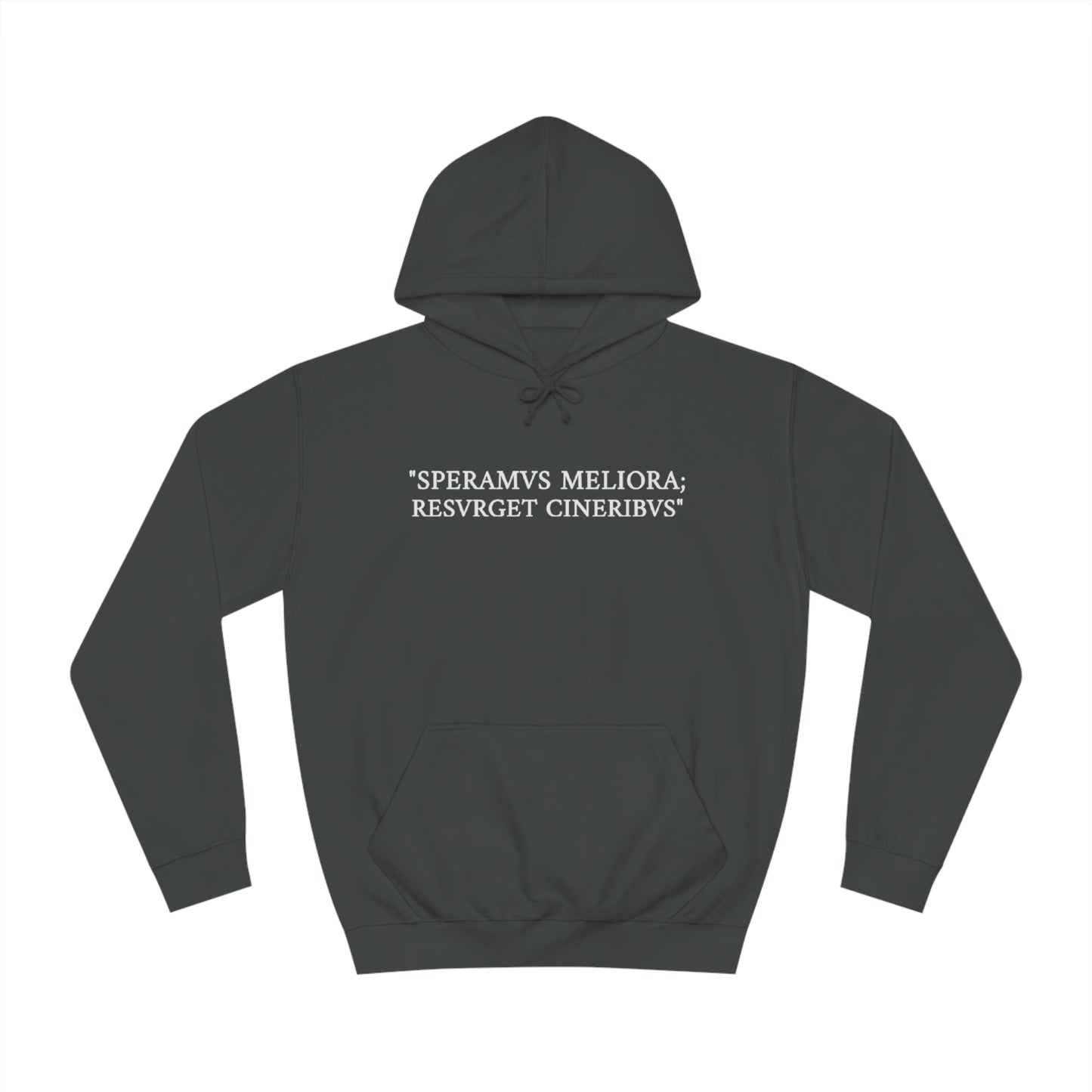 D-OFFICIAL BRANDS "SPEARMVS MELIORA; RESVRGET CINERIBVS" (Detroit City Motto) Unisex College Style Hoodie