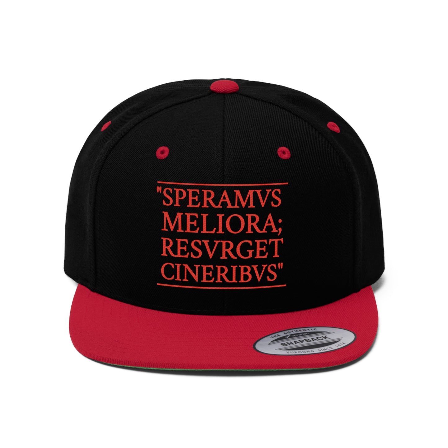 D-OFFICIAL BRANDS "SPEARMVS MERLIORA; RESVRGET CINERIBVS" (Detroit City Motto) Snapback Baseball Cap