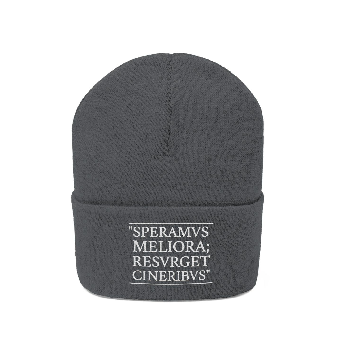 D-OFFICIAL BRANDS "SPEARMVS MELIORA; RESVRGET CINERIBUS" (Detroit City Motto) Knit Beanie/Skull Cap