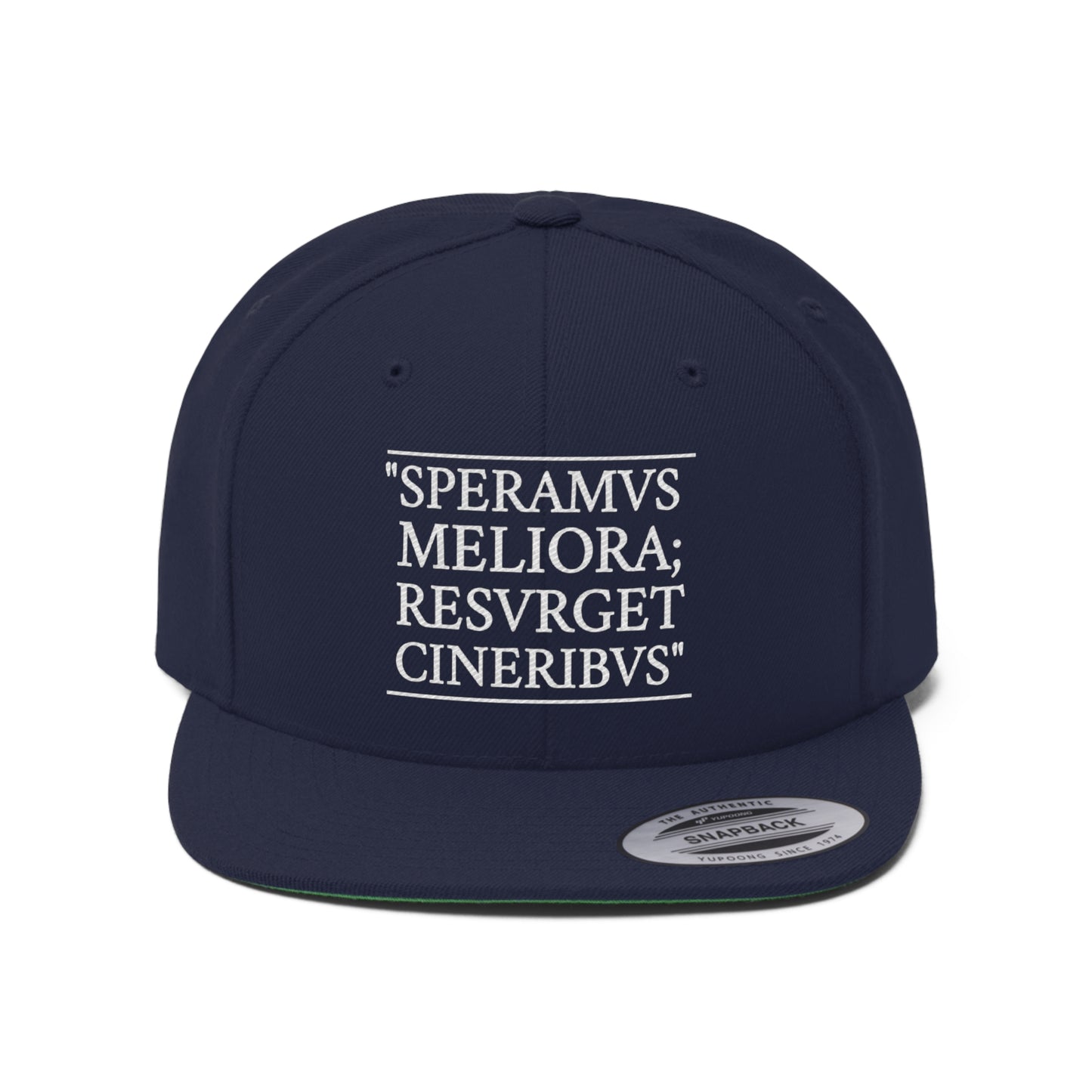 D-OFFICIAL BRANDS "SPEARMVS MELIORA; RESVRGET CINERIBVS" (Detroit City Motto) Snapback Baseball Cap