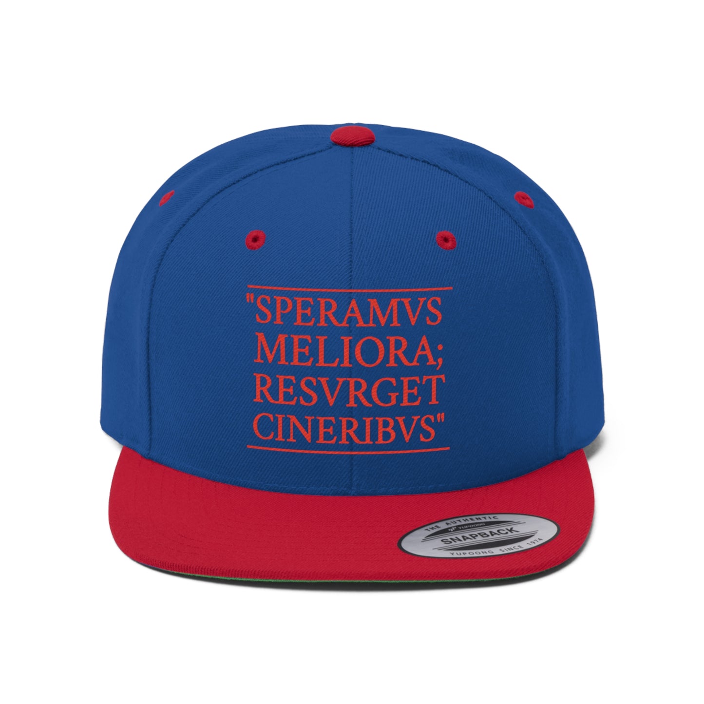 D-OFFICIAL BRANDS "SPEARMVS MERLIORA; RESVRGET CINERIBVS" (Detroit City Motto) Snapback Baseball Cap