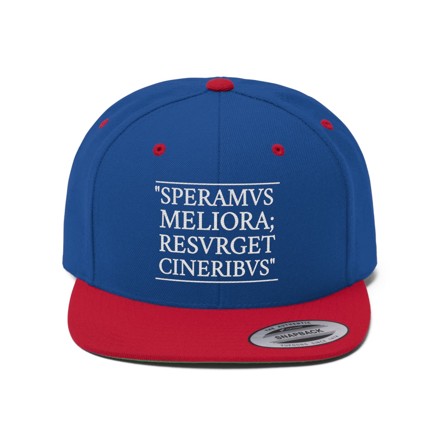 D-OFFICIAL BRANDS "SPEARMVS MELIORA; RESVRGET CINERIBVS" (Detroit City Motto) Snapback Baseball Cap